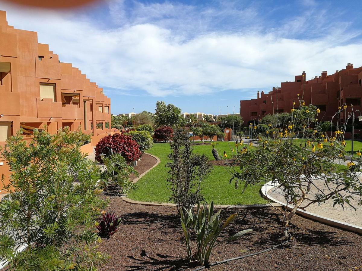 Alquilaencanarias El Medano Sotavento, Great Terrace And Beach Екстериор снимка